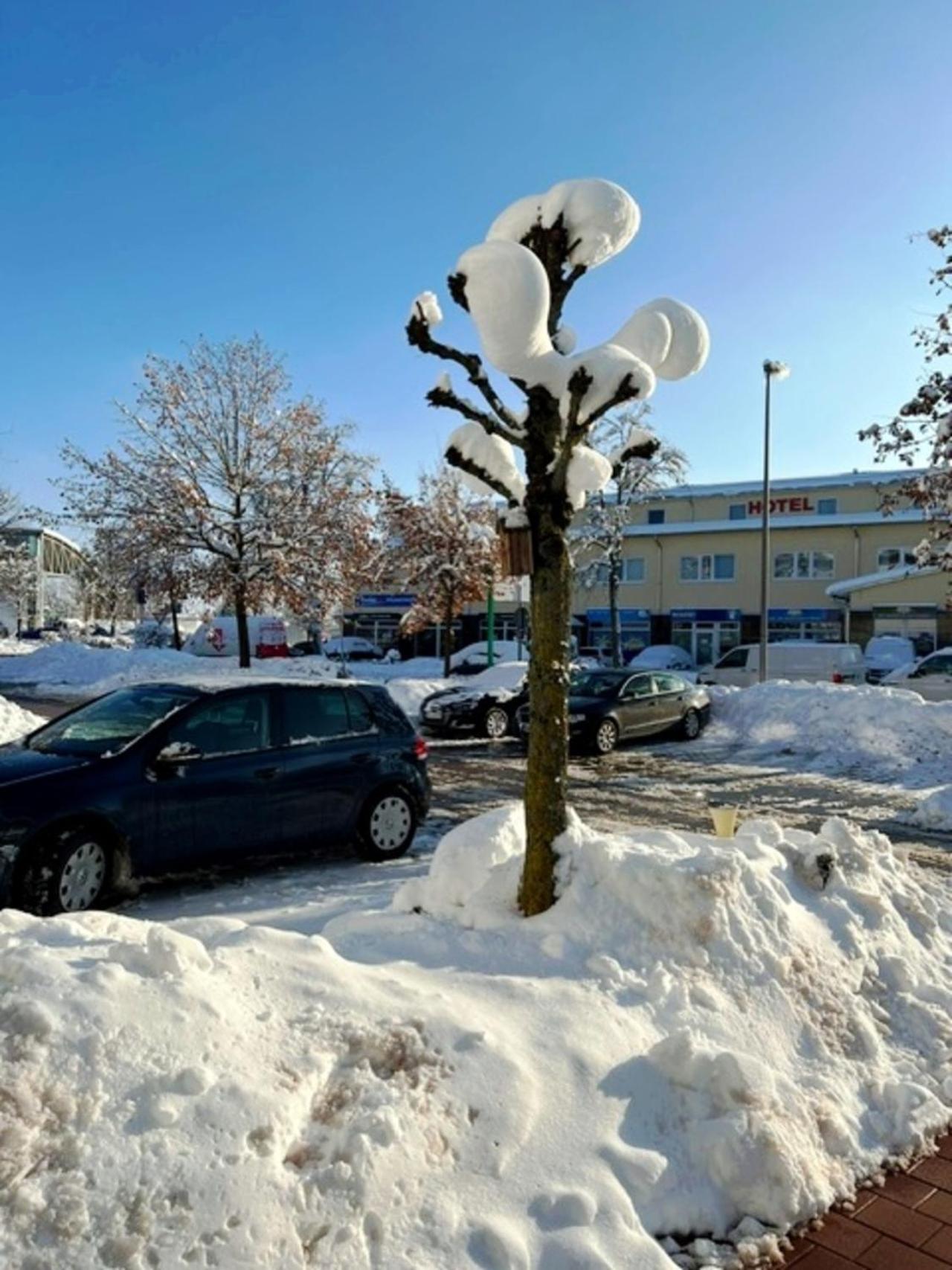 Hotel Thannhof Schweitenkirchen Buitenkant foto